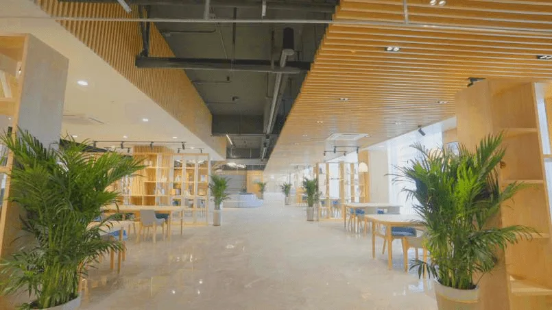 康复产业“人才摇篮”传出新动态！全国首所以“康复”命名的高等学府官宣招生