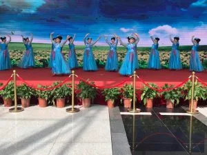 青岛市养老服务协会与广州养老服务产业协会签署战略合作协议